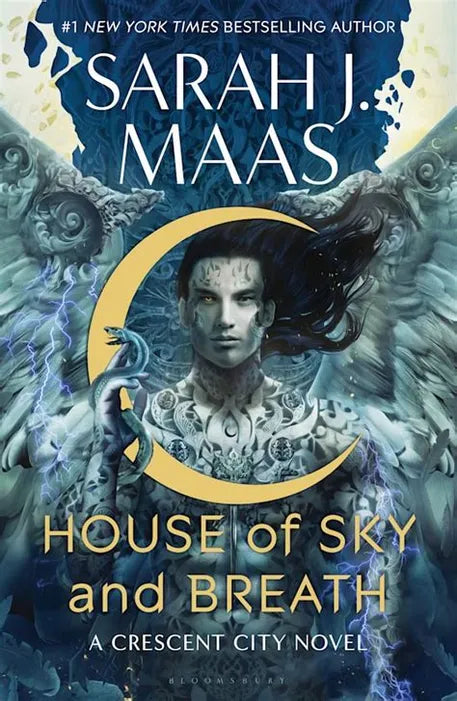 The Complete Asterix Box Set (Sarah j. Maas)